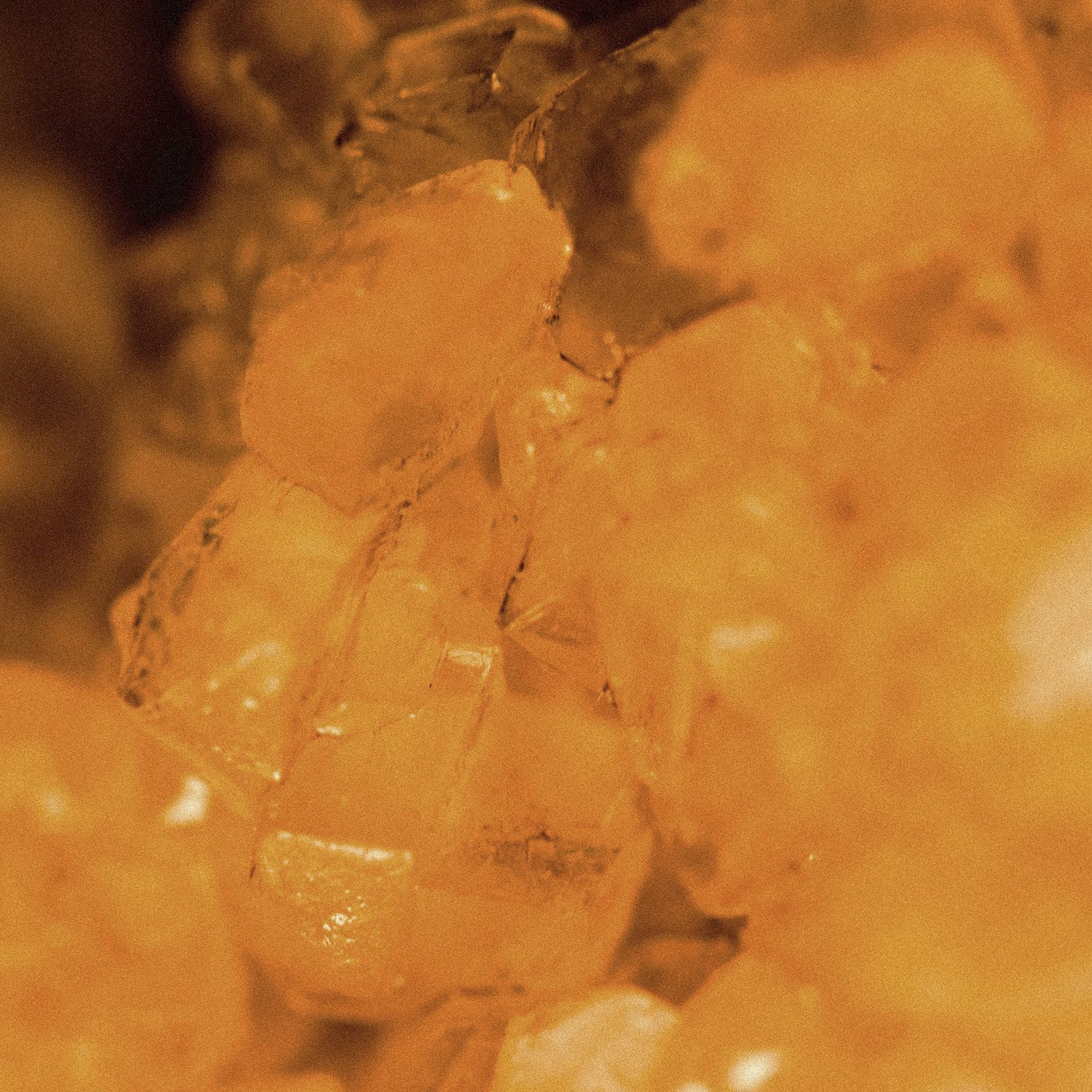 Amber Oriental