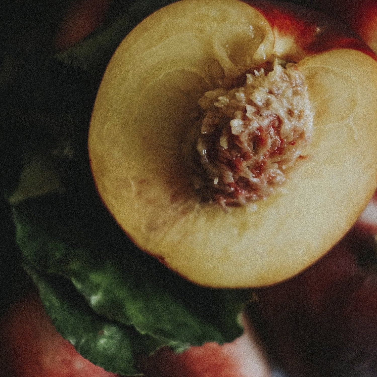 Fruity Gourmand