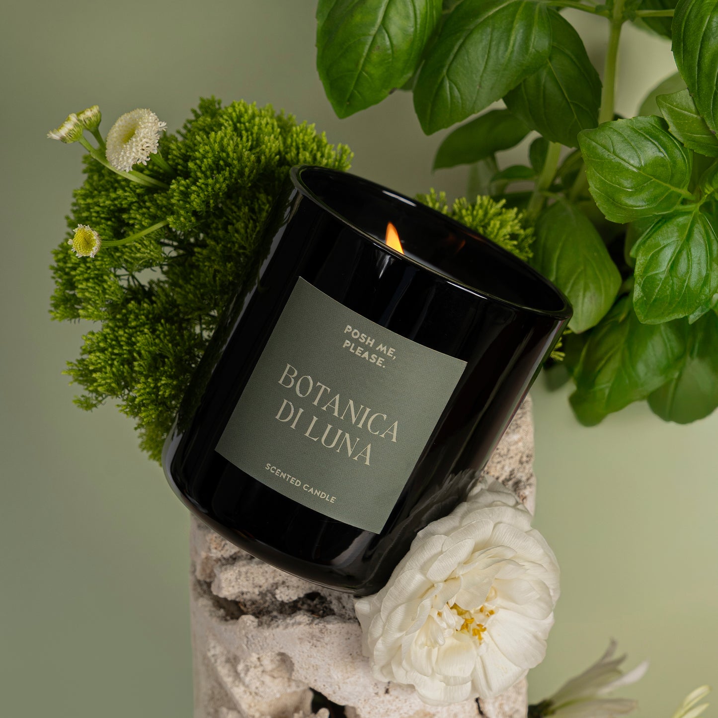 Botanica Di Luna